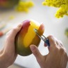 Coffret Opinel Les Essentiels Primo Fabriqué en France