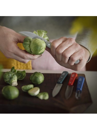 Coffret Opinel Les Essentiels Primo Fabriqué en France