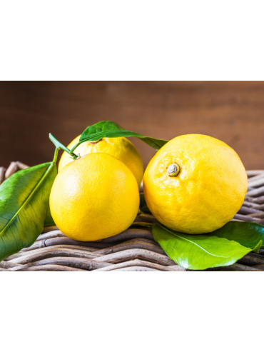 Bergamote de Nancy IGP - Sachet 100g Fabriquée en France